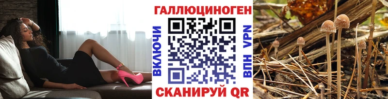 Галлюциногенные грибы прущие грибы  наркота  Бердск 