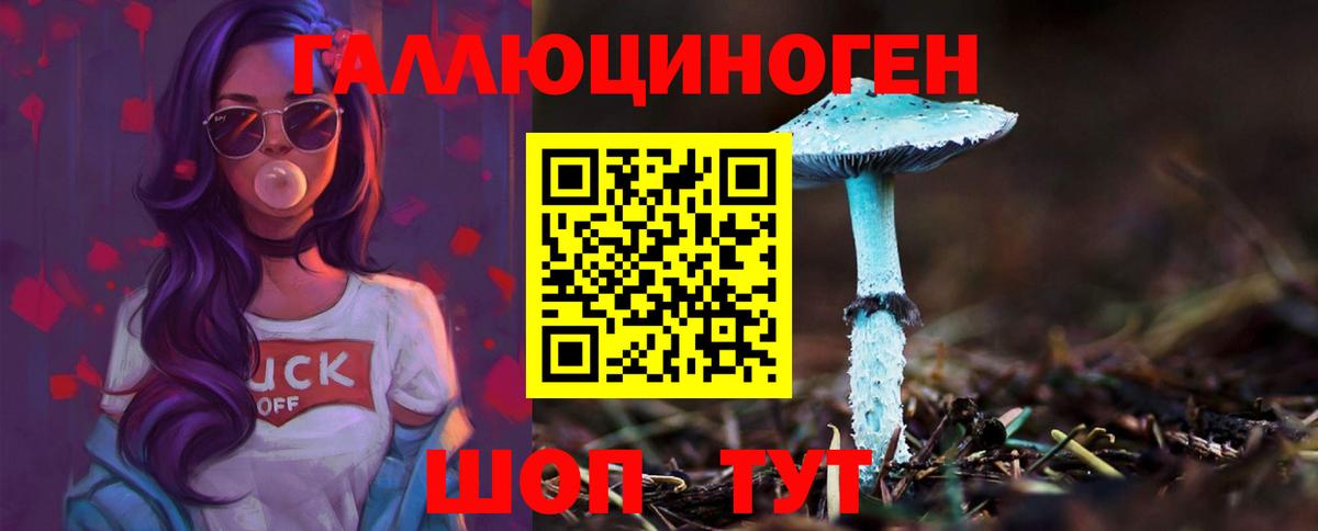 Галлюциногенные грибы GOLDEN TEACHER Бердск