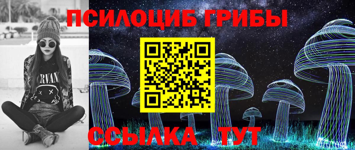 Бердск  Галлюциногенные грибы Psilocybe  Вход с VPN 
