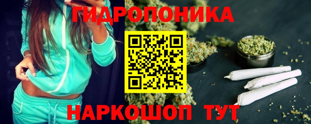 Канабис AK-47  Вход с VPN  Бердск  Марихуана Bruce Banner  Шишки марихуана сатива  Марихуана планчик 